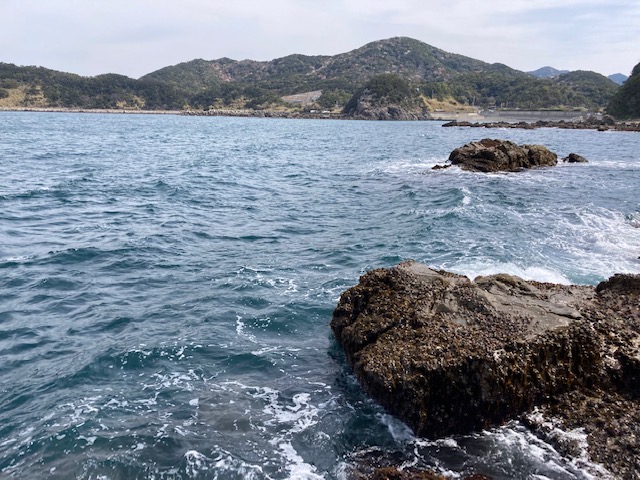 和歌山県日高町田杭のフカセ釣りでグレ釣果