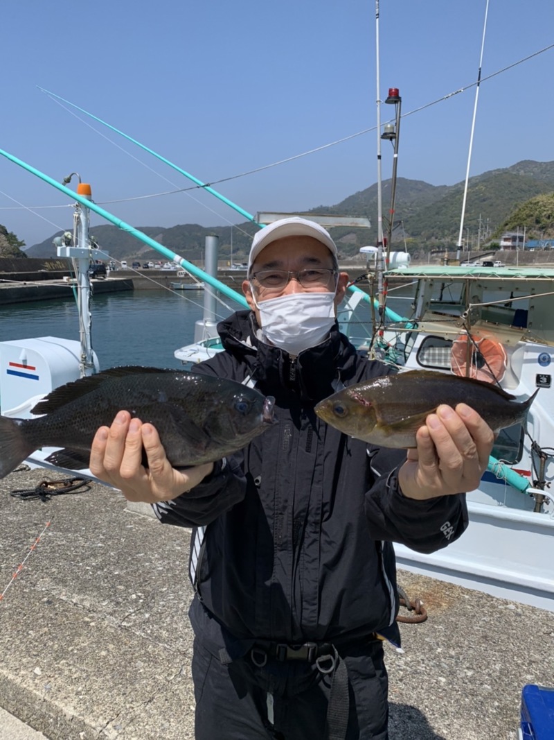 和歌山県見老津正栄丸の船釣りでイサキ釣果