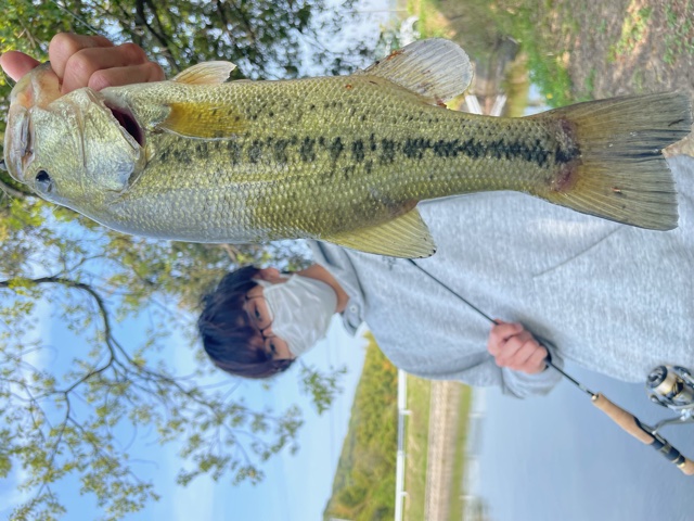 淡路島野池釣行!