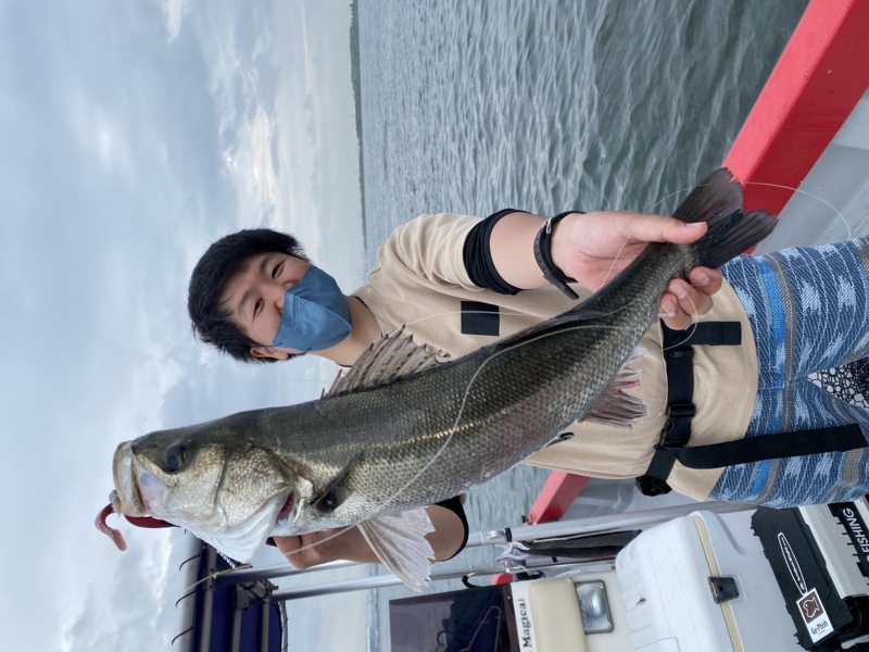 ボートシーバス