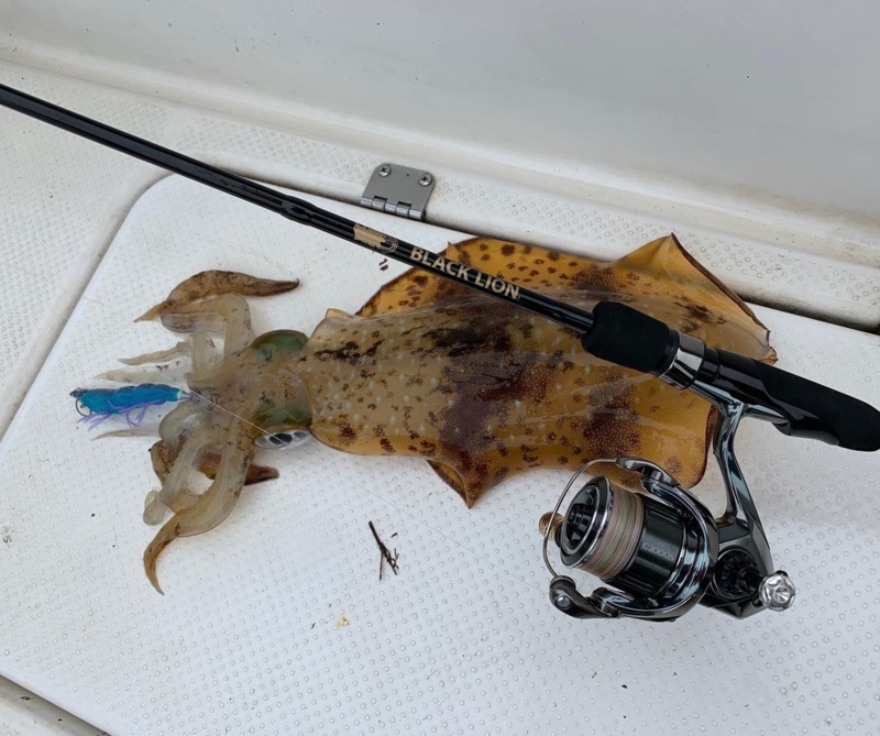 南紀 ボートエギング in SouthCurrent