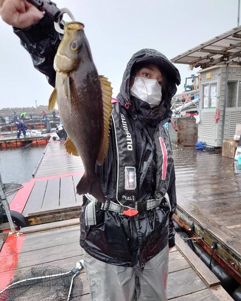 海上釣堀に行ってきました!