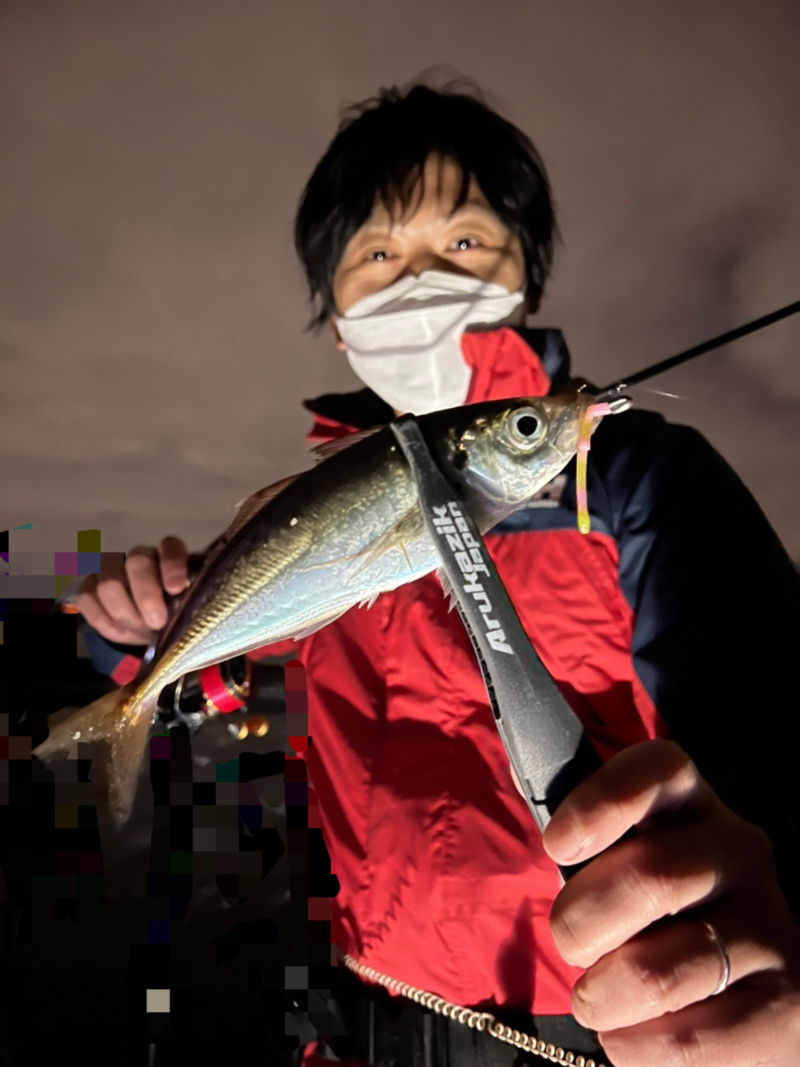 近場のアジング釣行