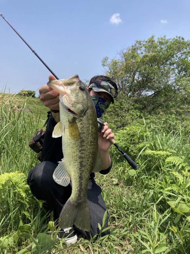 淡路島野池巡り
