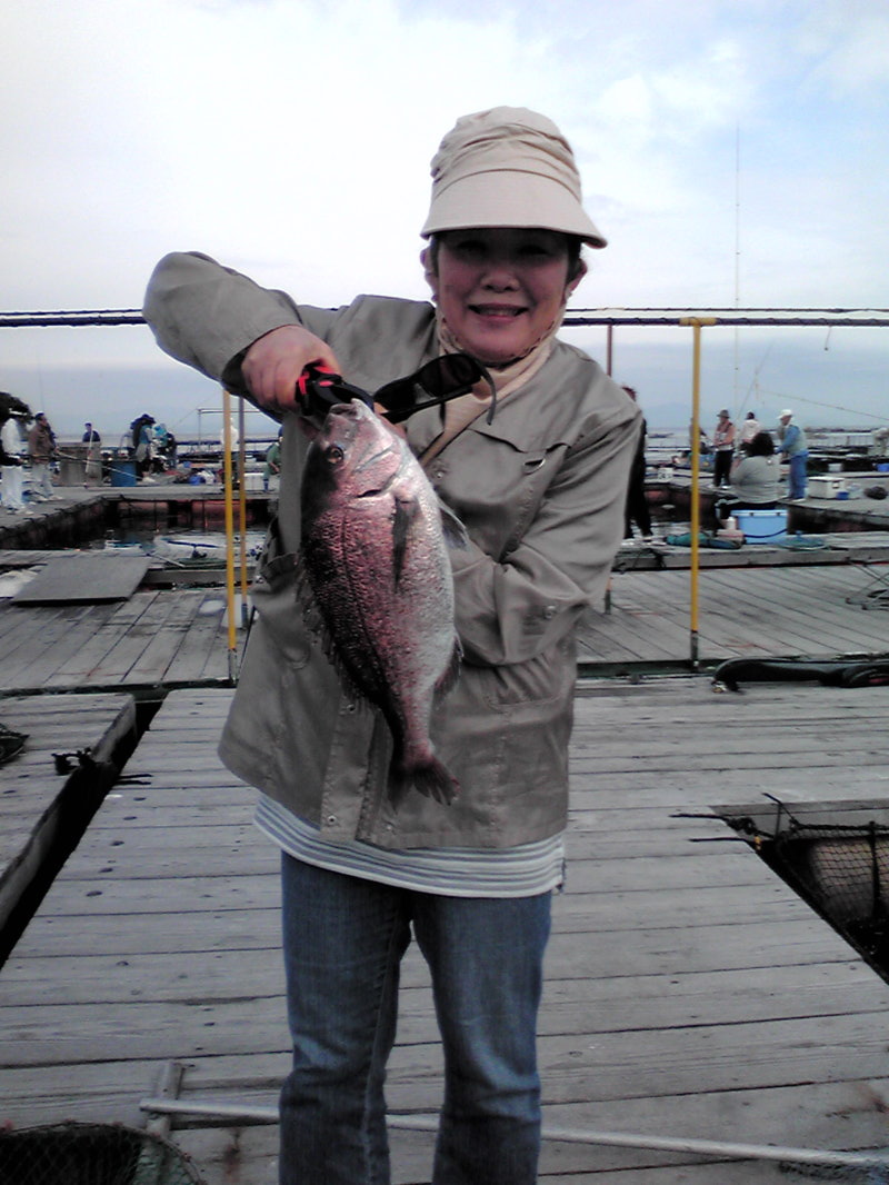 兵庫県「家島 海の釣堀 海恵」海上釣り堀・タイ・ハマチ