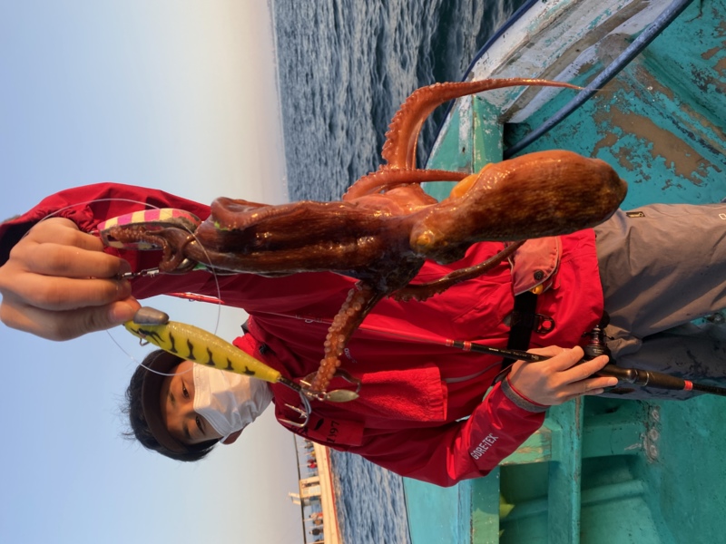 明石タコスタート