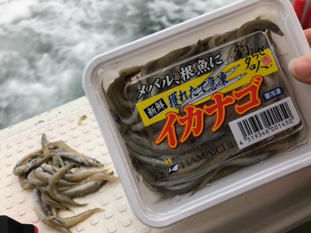 ~絶品ガシラを求めて~