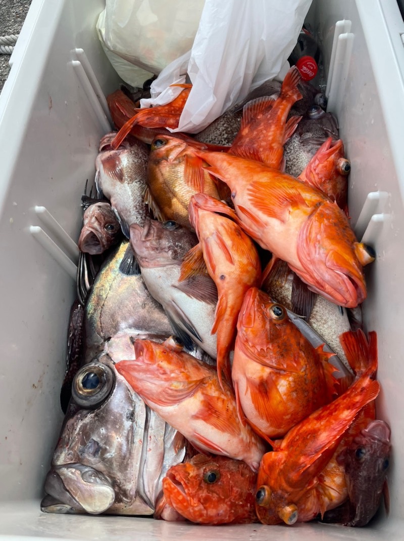 中深海 スロージギング