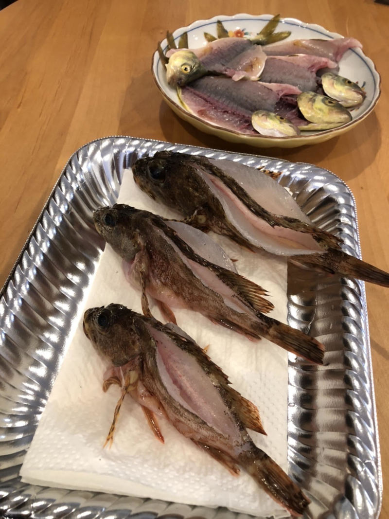 和歌山まで行ってきました!