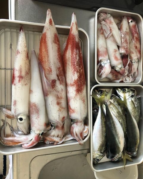 香住イカメタル