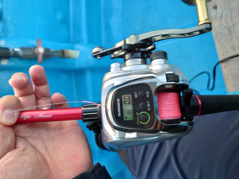 ライト落とし込みタイラバ便