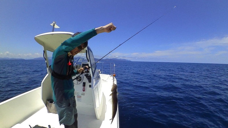 新米船長の初航海日誌