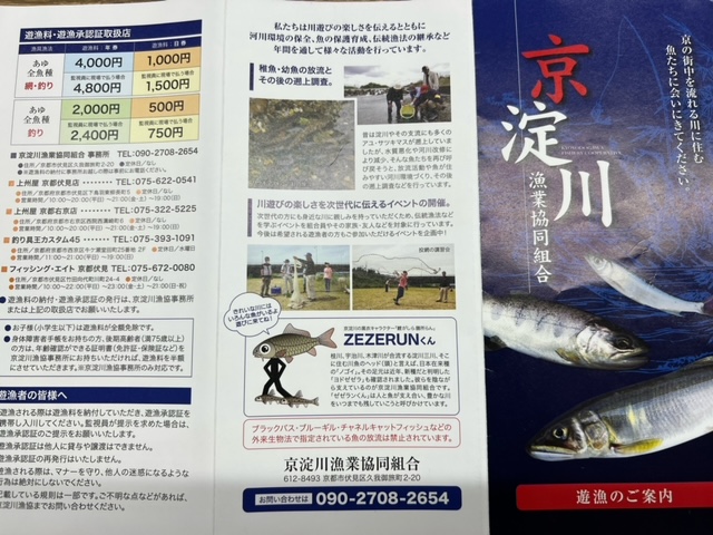 京都の町中でアユ釣り