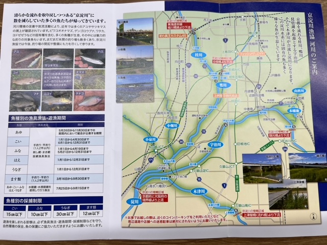 京都の町中でアユ釣り