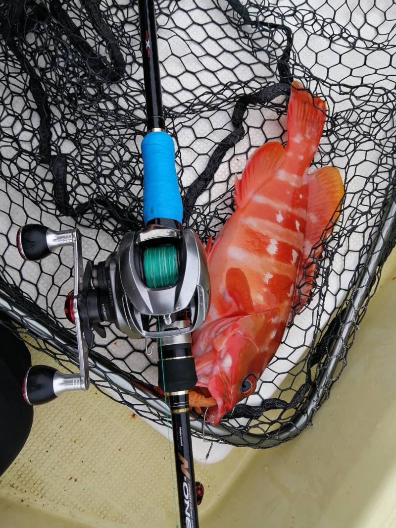 三重県でボートロックフィッシュ