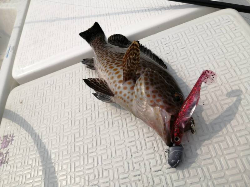 三重県でボートロック