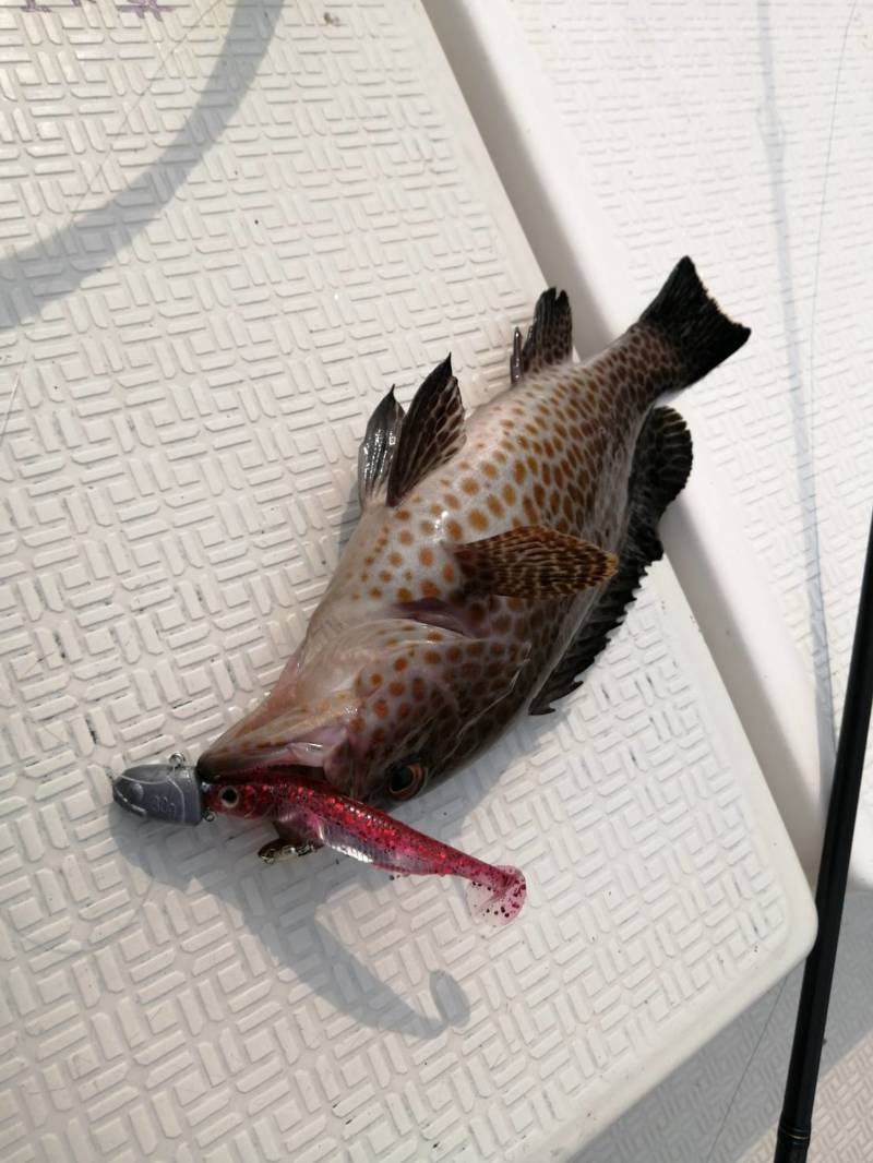 三重県でボートロック