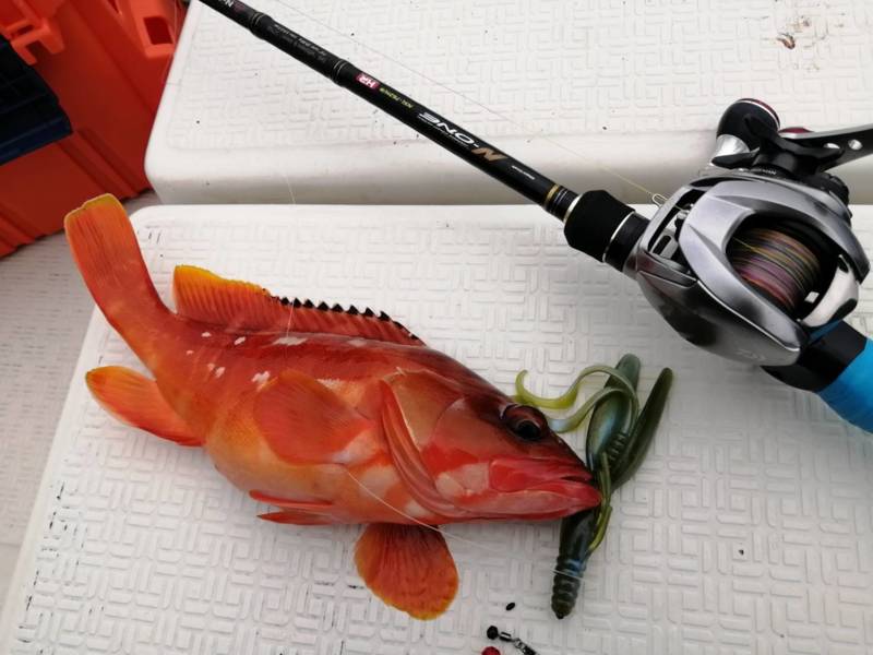 三重県でボートロック