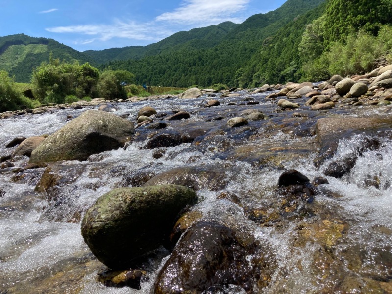 大又川解禁釣行