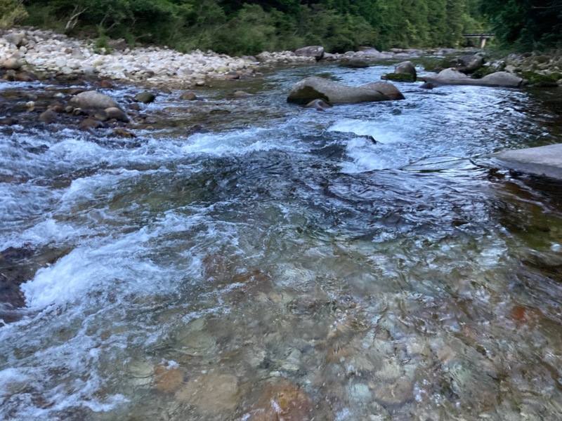 大又川解禁釣行