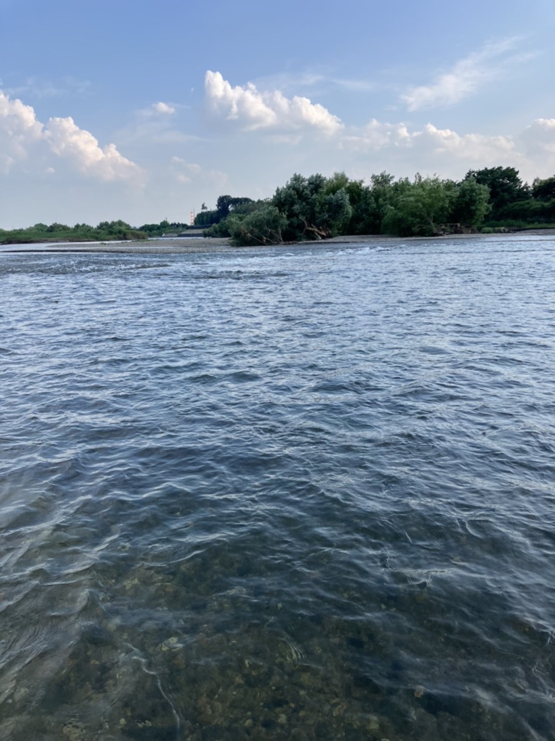 京淀川漁協 鮎ルアー調査