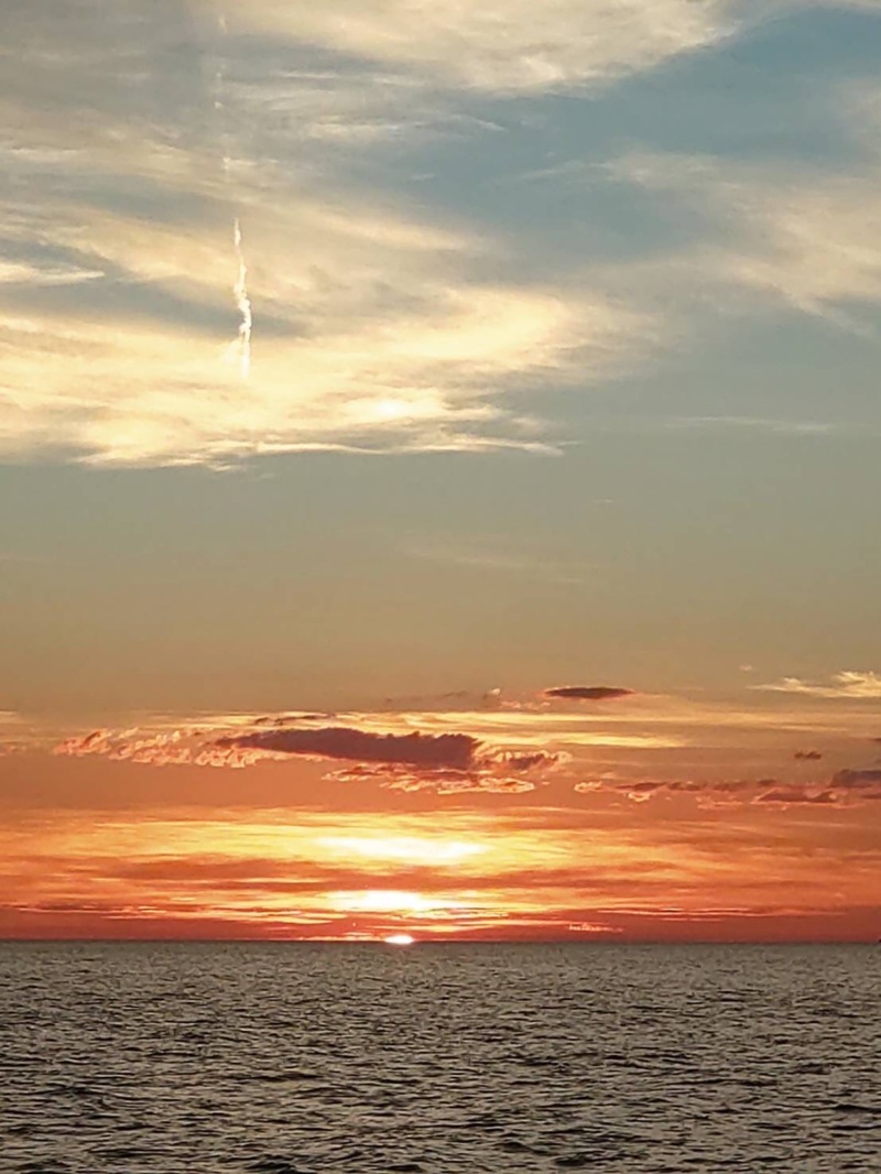 鳥取イカメタル