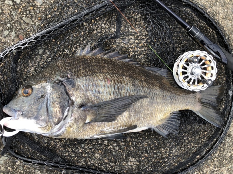 灼熱!!尼崎フェニックスⅣ