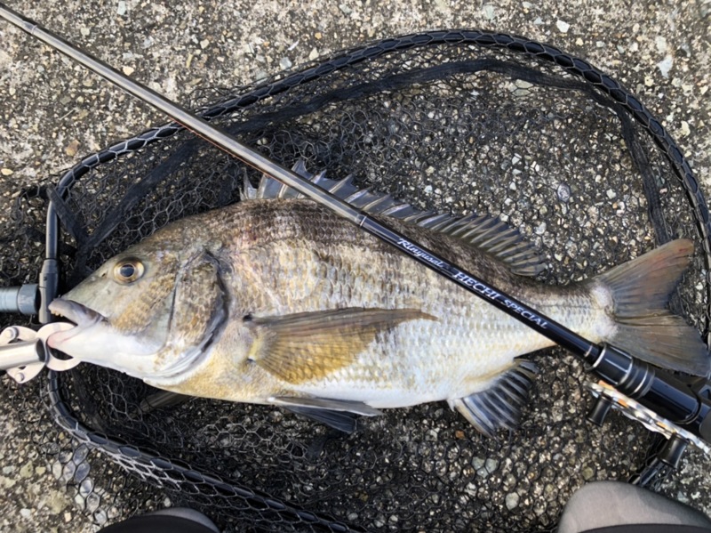 灼熱!!尼崎フェニックスⅣ