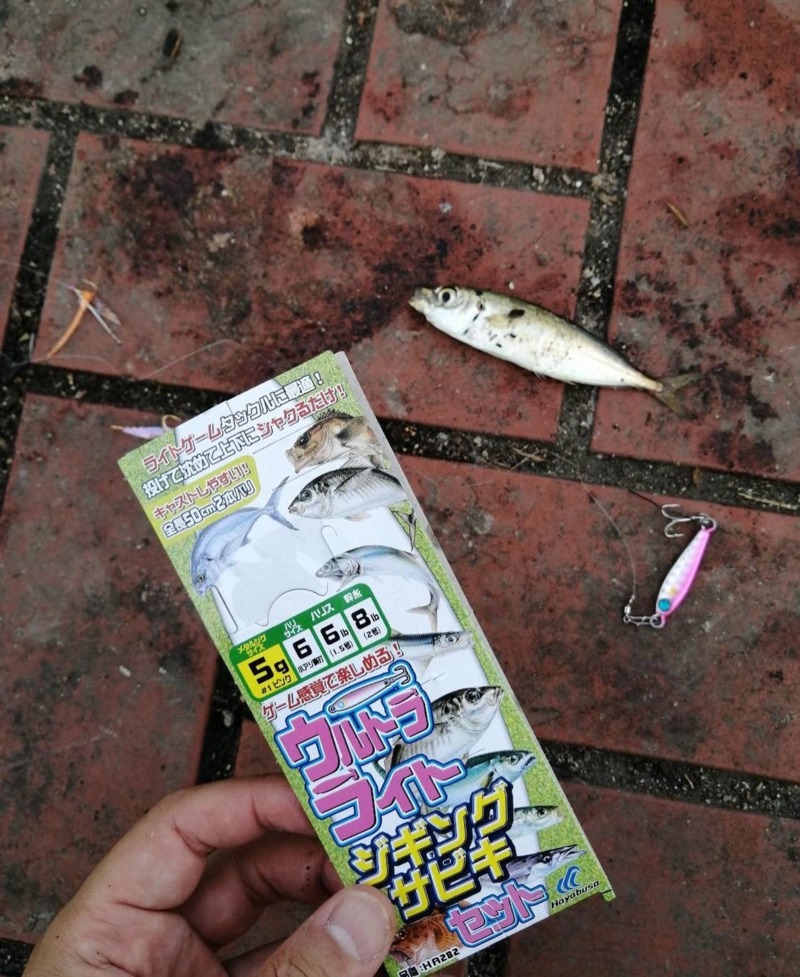 大阪南店 近隣釣果情報