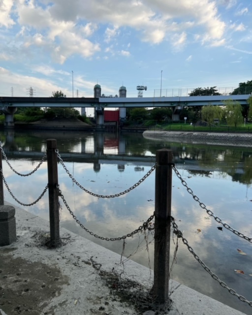 カネヒラ釣れてきましたNO4