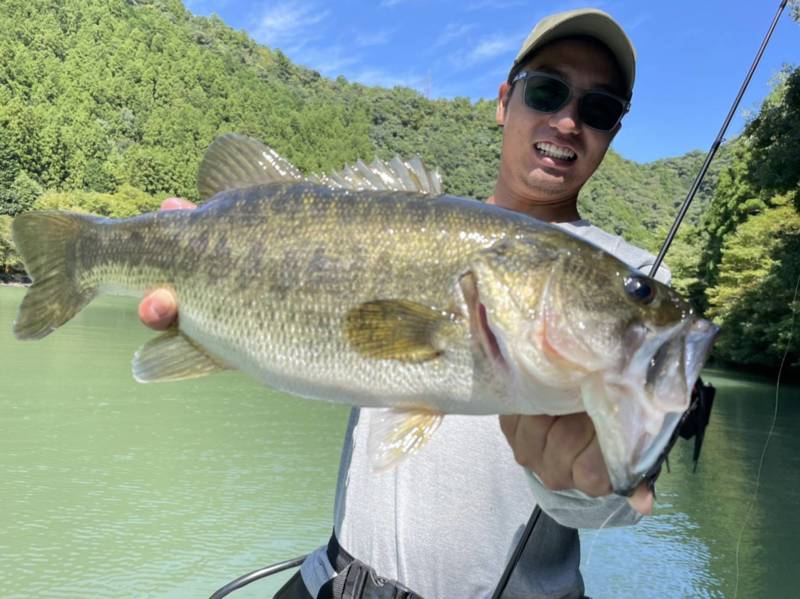 七色巻物攻略❔