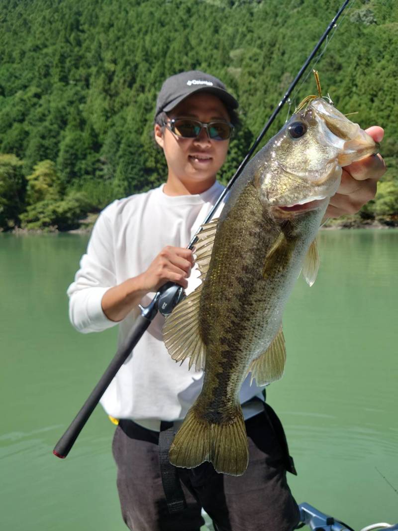 七色巻物攻略❔