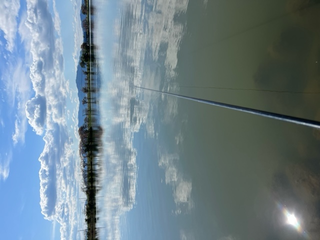 琵琶湖落ちモロコ