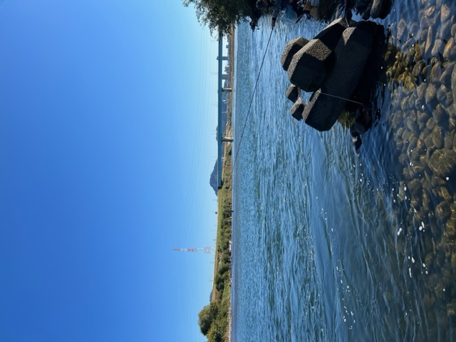 長良川落ちアユ