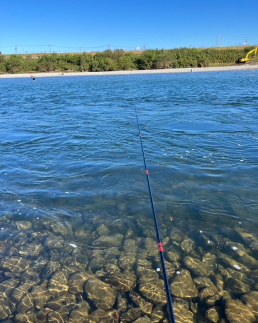 長良川落ちアユ
