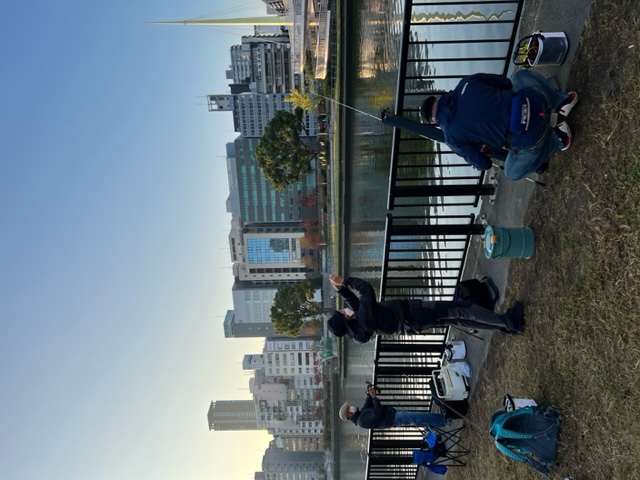 大阪のド真ん中アーバンフィッシング鯊