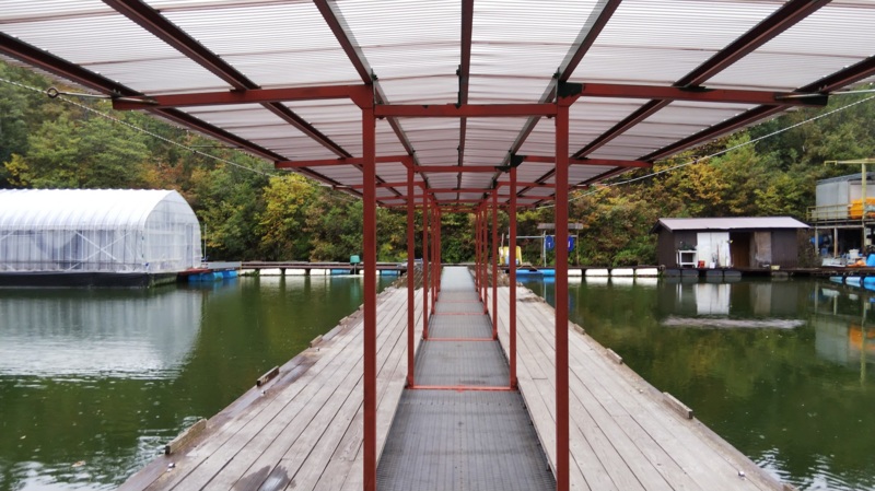 雨の管理釣り場~秋~