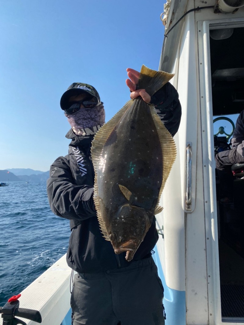 香住 落とし込みヒラマサ