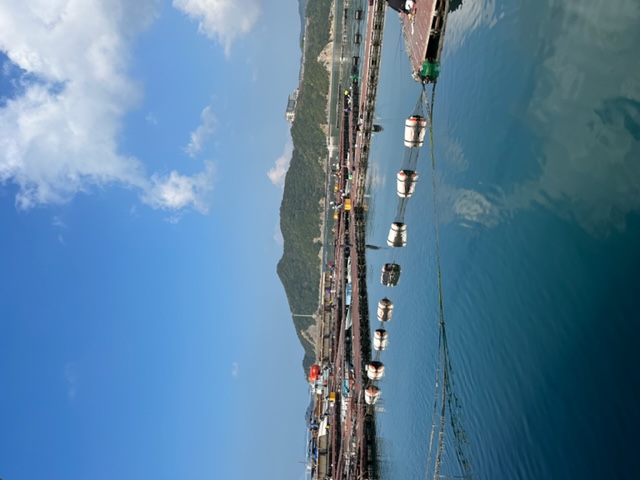 淡路じゃのひれを満喫!