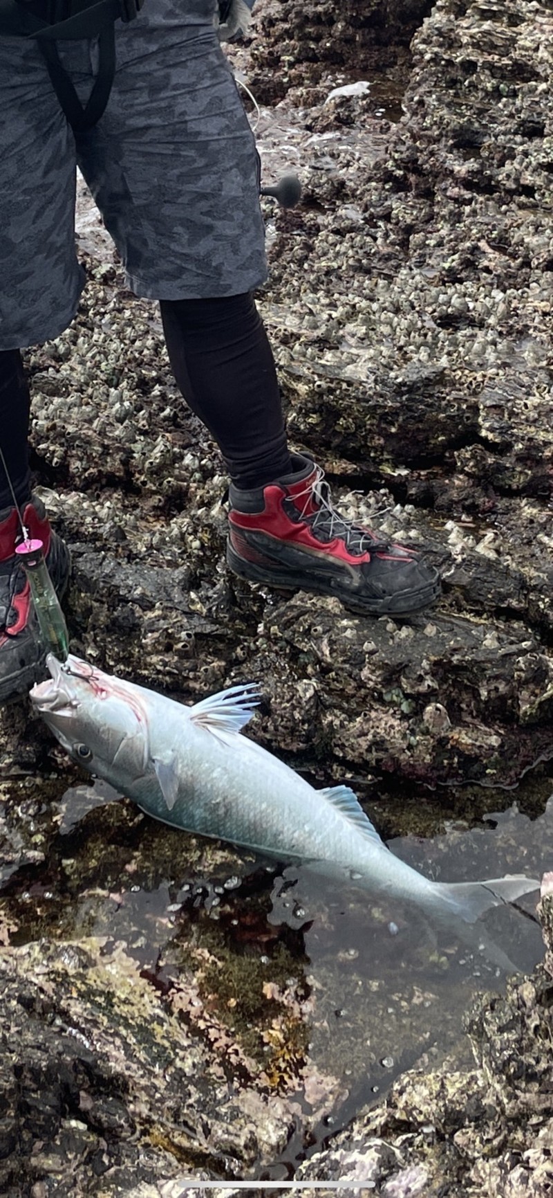 南西諸島遠征!!