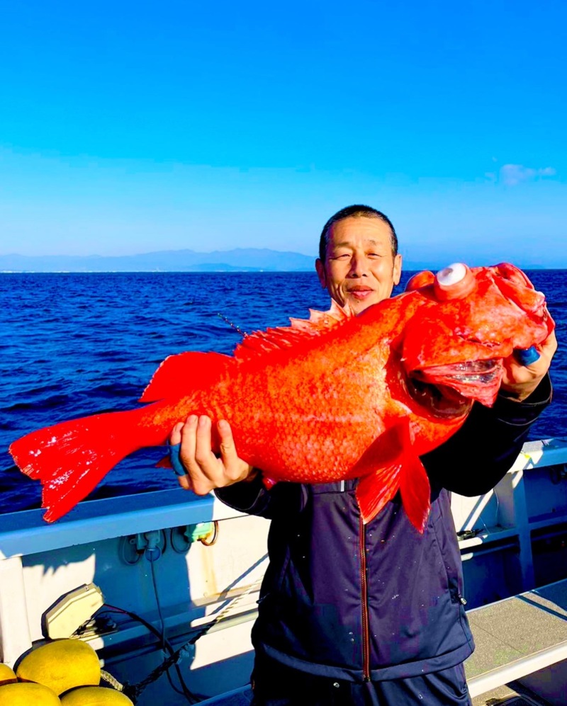 今が旬!!ベニアコウ釣行!!