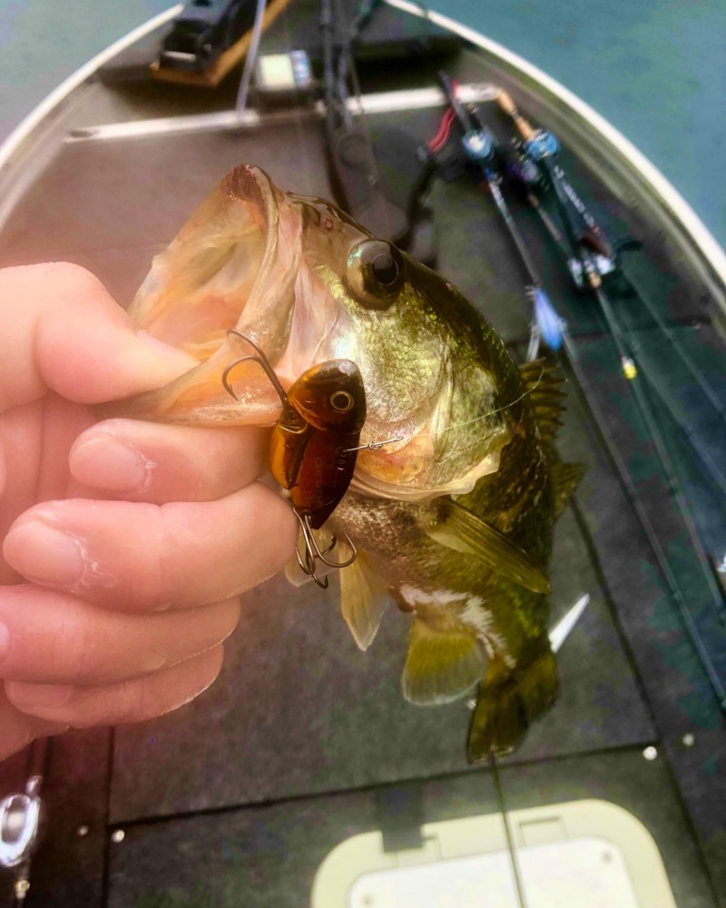 秋の強雨 池原ダム