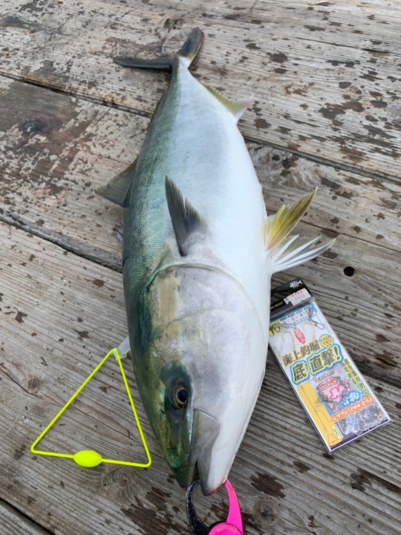 海上釣堀<水宝>行って来ました!2