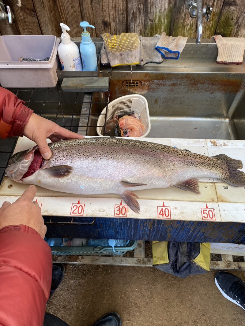 嵐山FA 釣り納め