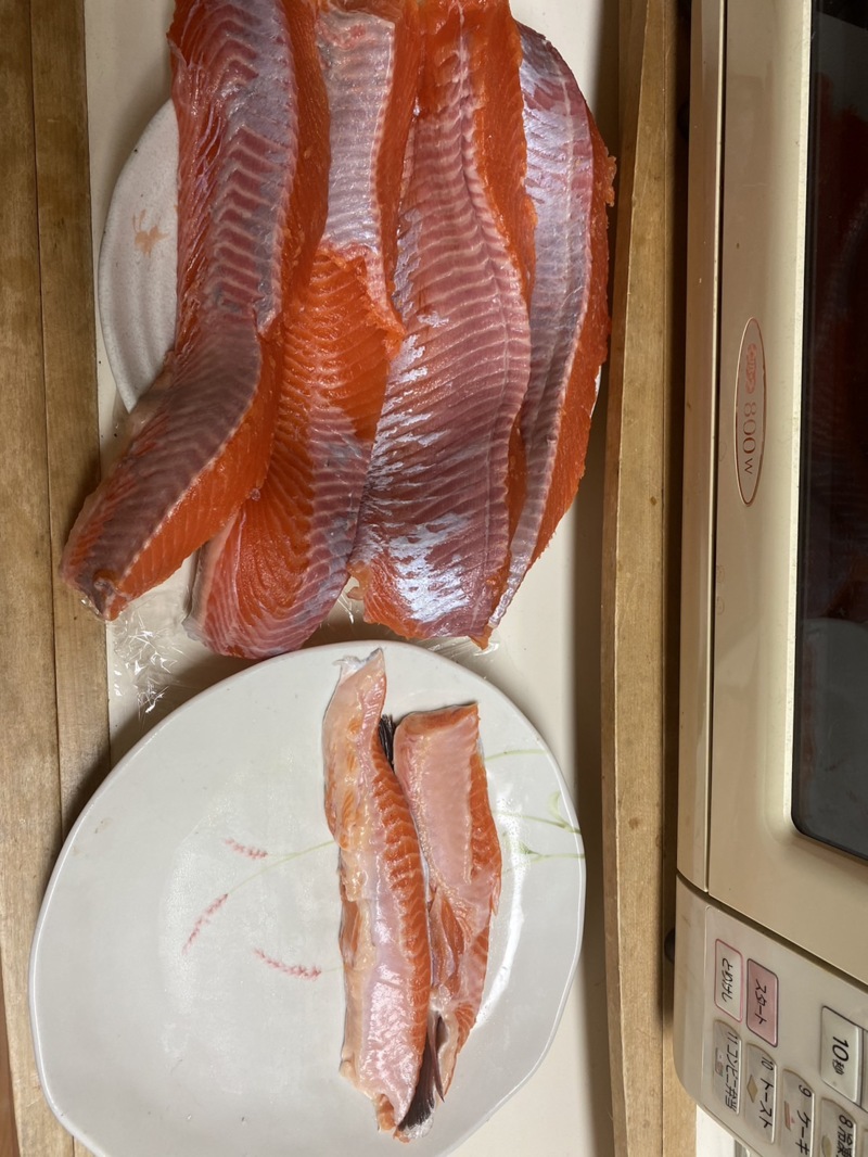 嵐山FA 釣り納め