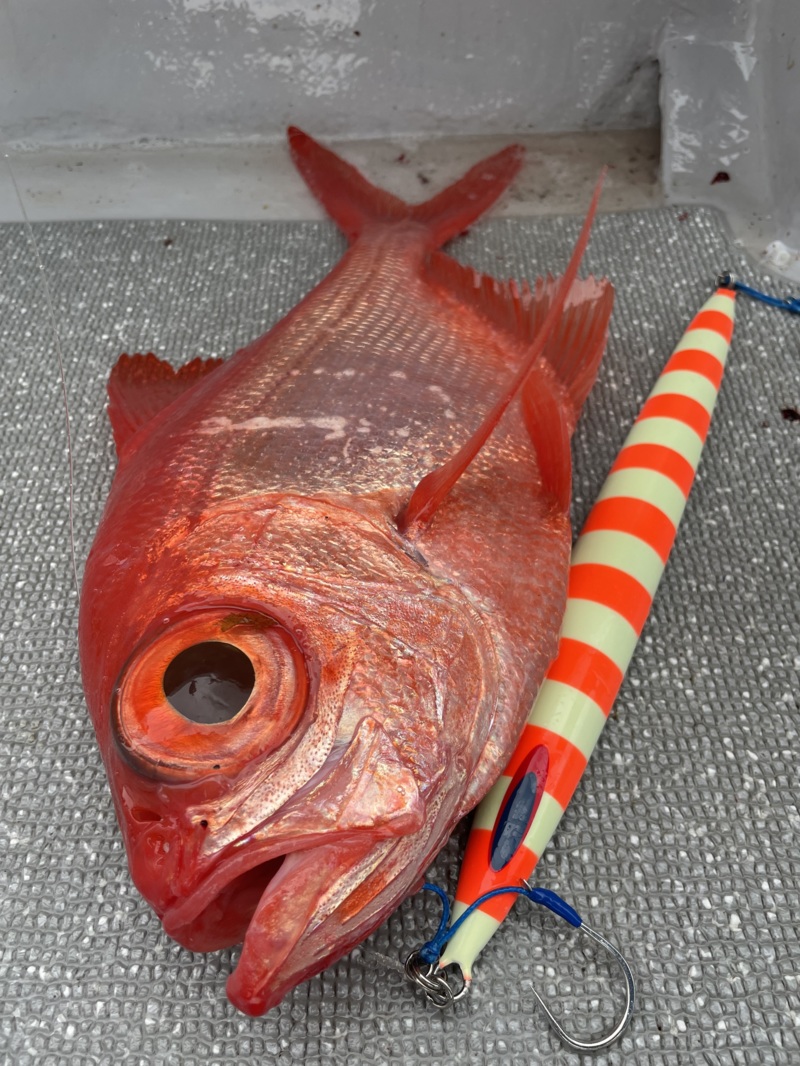 釣り納はディープライナー!