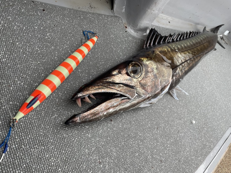 釣り納はディープライナー!