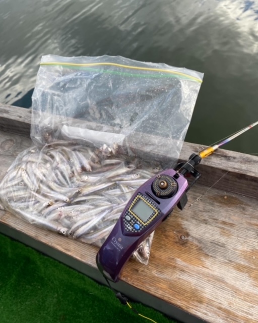 ワカサギ釣り&天ぷら