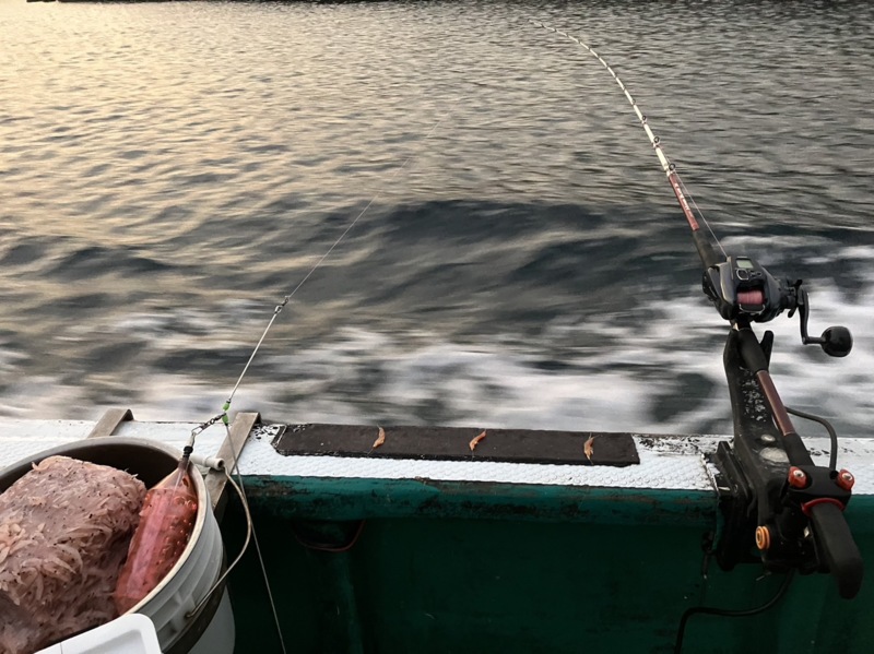 見老津の船天秤