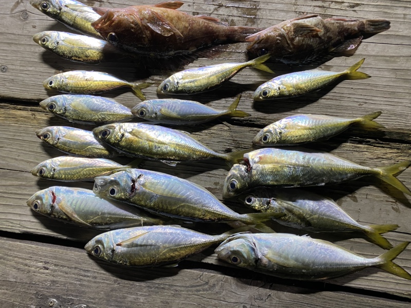 ボートアジング